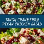 Irresistible Cranberry Pecan Chicken Salad Recipe