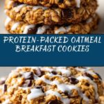 Protein Oatmeal Breakfast Cookies Recipe