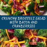 Broccoli Salad Recipe
