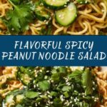 Spicy Peanut Noodle Salad Recipe