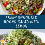 Sprouted Moong Salad Recipe
