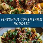 Cumin Lamb Noodles Recipe