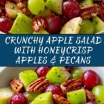 Apple Salad with Honeycrisp Apples, Celery, Grapes, Pecans, and Dried Cranberries Recipe
