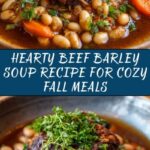 Beef Barley Soup Recipe