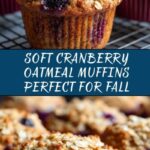 Cranberry Oatmeal Muffins Recipe