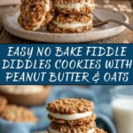 Fiddle Diddles No Bake Cookies: Easy Recipe & Guide Recipe