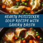 Potsticker Soup Recipe