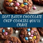 Soft Batch Chocolate Chip Cookies Recipe