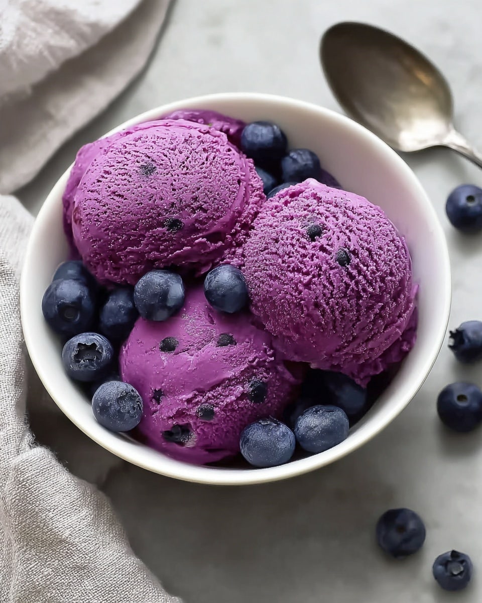 Blueberry Frozen Yogurt Recipe - Recipe Image