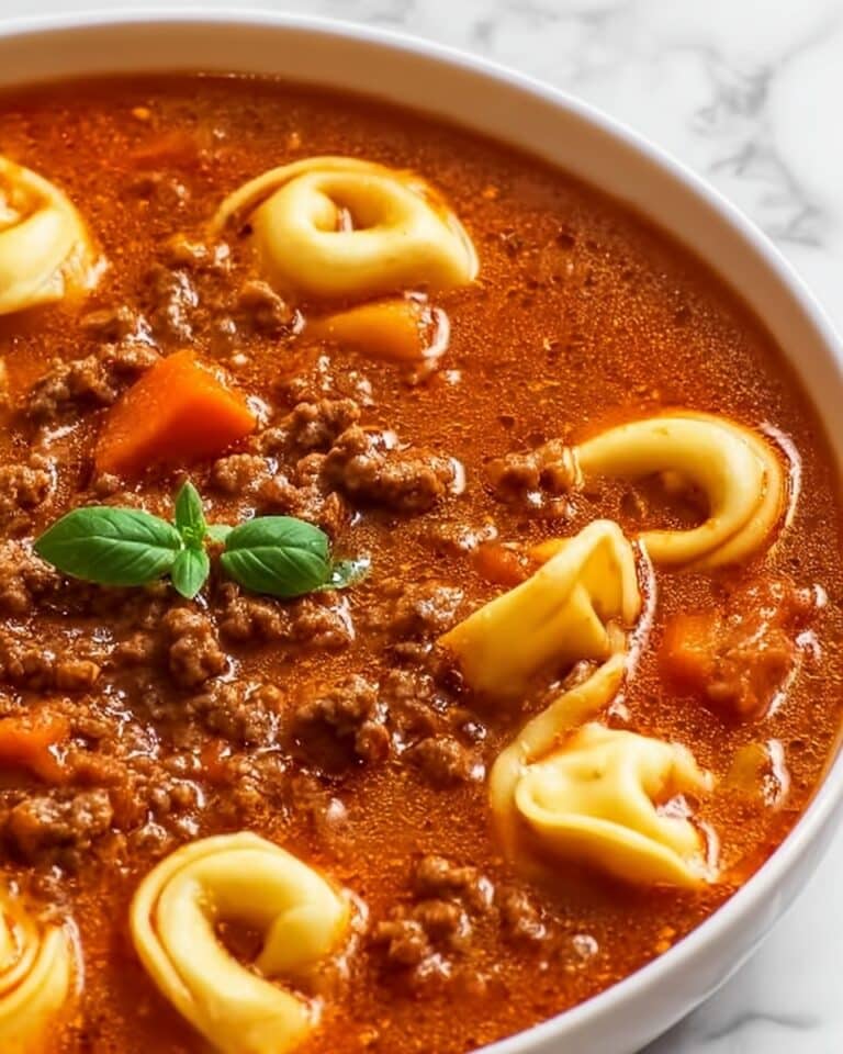 Slow Cooker Tomato Tortellini Soup with Ground Beef Recipe