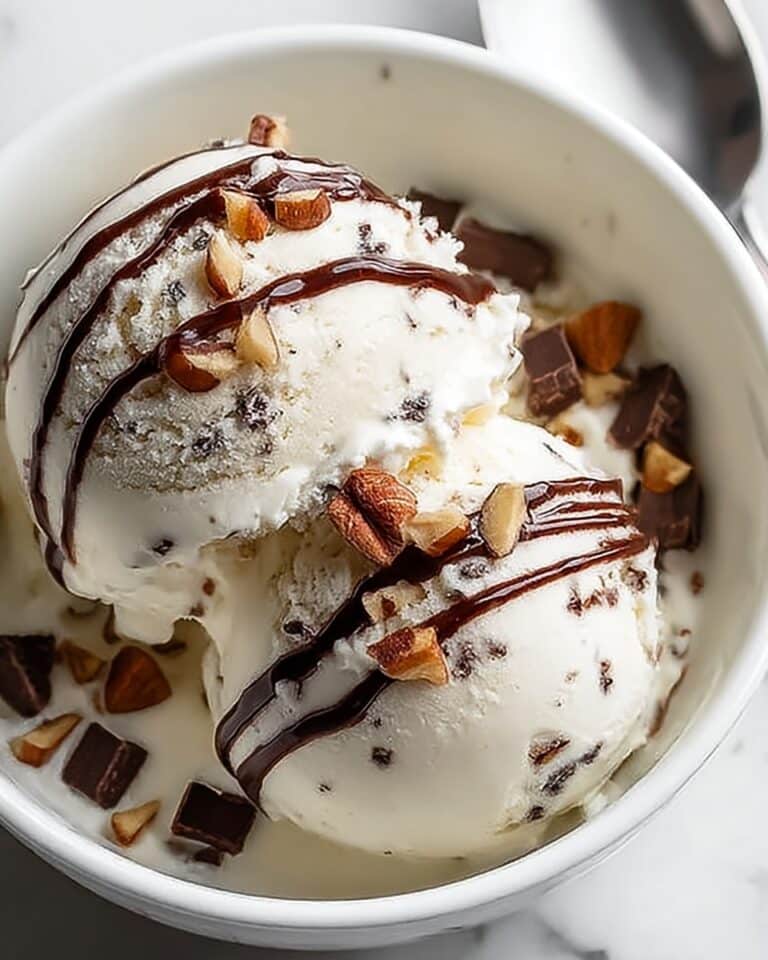 Moose Tracks Protein Ice Cream Recipe