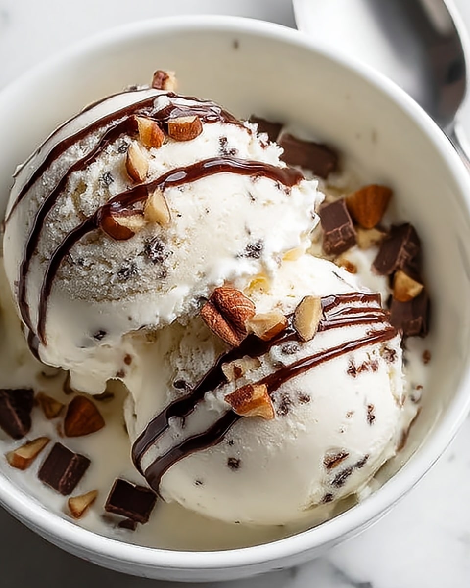 Moose Tracks Protein Ice Cream Recipe - Recipe Image