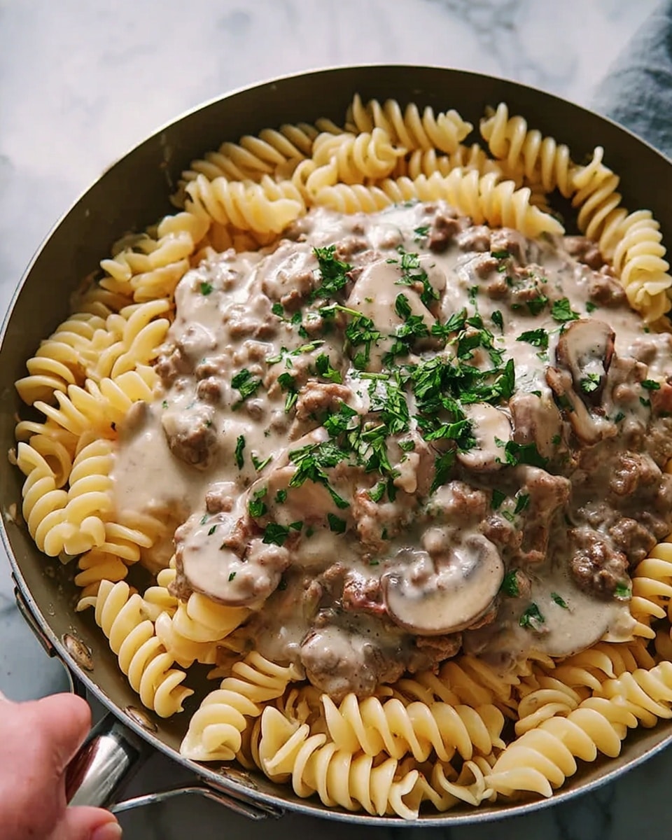 Ground Beef Stroganoff Recipe - Recipe Image