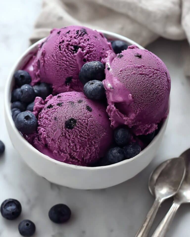Blueberry Frozen Yogurt Recipe