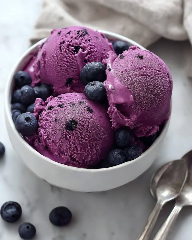 Blueberry Frozen Yogurt Recipe