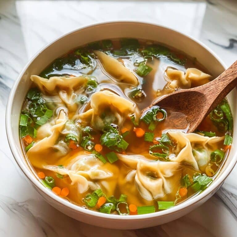 Potsticker Soup Recipe